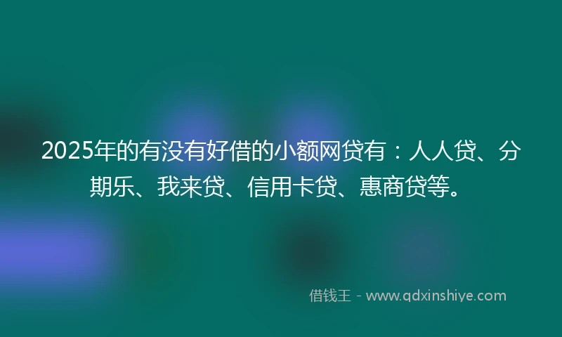 2025年的有没有好借的小额网贷有：人人贷、分期乐、我来贷、信用卡贷、惠商贷等。