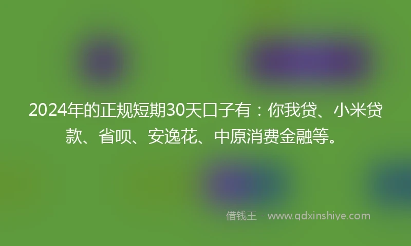 2024年的正规短期30天口子有：你我贷、小米贷款、省呗、安逸花、中原消费金融等。