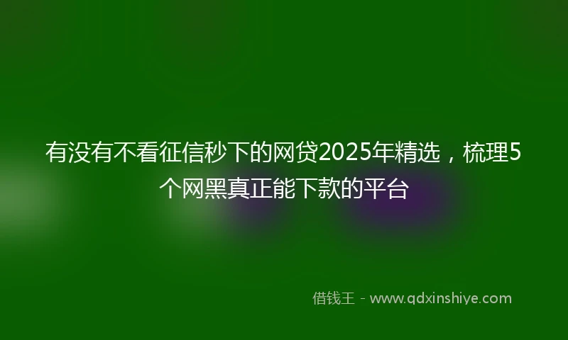 有没有不看征信秒下的网贷2025年精选，梳理5个网黑真正能下款的平台