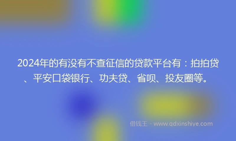 2024年的有没有不查征信的贷款平台有：拍拍贷、平安口袋银行、功夫贷、省呗、投友圈等。
