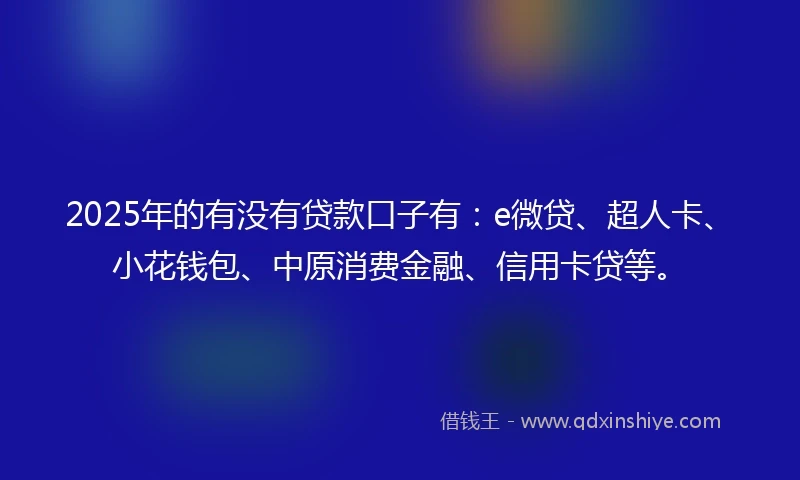 2025年的有没有贷款口子有：e微贷、超人卡、小花钱包、中原消费金融、信用卡贷等。