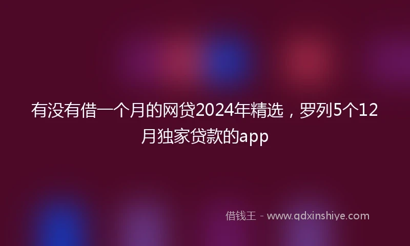 有没有借一个月的网贷2024年精选，罗列5个12月独家贷款的app