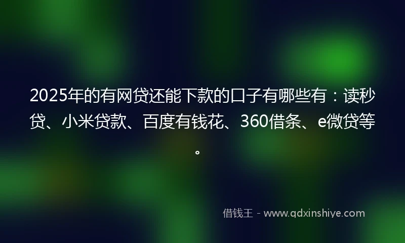 2025年的有网贷还能下款的口子有哪些有：读秒贷、小米贷款、百度有钱花、360借条、e微贷等。