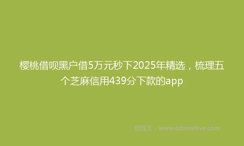樱桃借呗黑户借5万元秒下2025年精选，梳理五个芝麻信用439分下款的app
