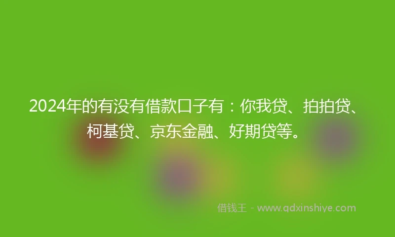 2024年的有没有借款口子有：你我贷、拍拍贷、柯基贷、京东金融、好期贷等。