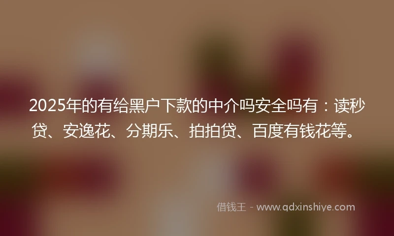 2025年的有给黑户下款的中介吗安全吗有：读秒贷、安逸花、分期乐、拍拍贷、百度有钱花等。