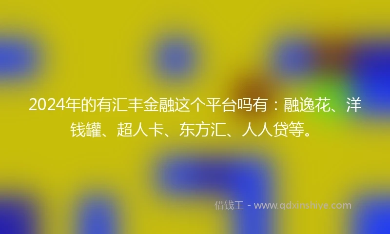 2024年的有汇丰金融这个平台吗有：融逸花、洋钱罐、超人卡、东方汇、人人贷等。
