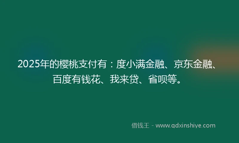 2025年的樱桃支付有：度小满金融、京东金融、百度有钱花、我来贷、省呗等。