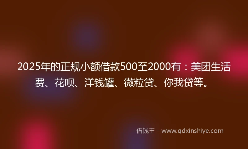 2025年的正规小额借款500至2000有：美团生活费、花呗、洋钱罐、微粒贷、你我贷等。