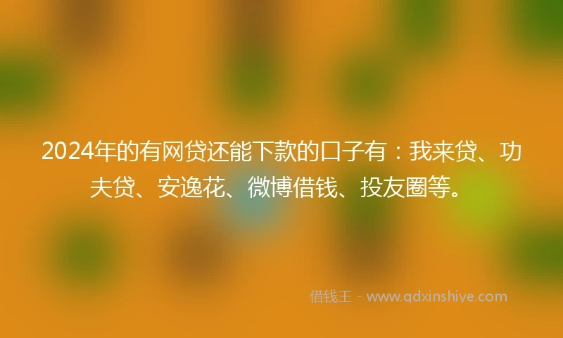 2024年的有网贷还能下款的口子有：我来贷、功夫贷、安逸花、微博借钱、投友圈等。