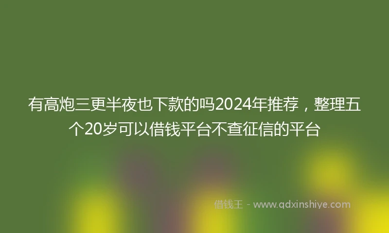 有高炮三更半夜也下款的吗2024年推荐，整理五个20岁可以借钱平台不查征信的平台