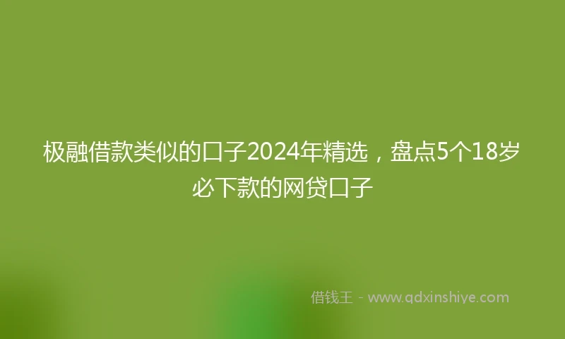 极融借款类似的口子2024年精选，盘点5个18岁必下款的网贷口子