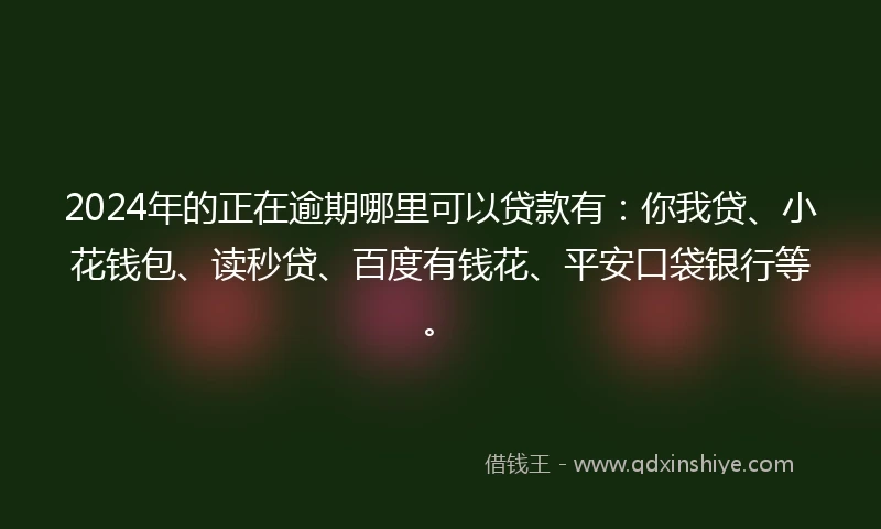 2024年的正在逾期哪里可以贷款有：你我贷、小花钱包、读秒贷、百度有钱花、平安口袋银行等。