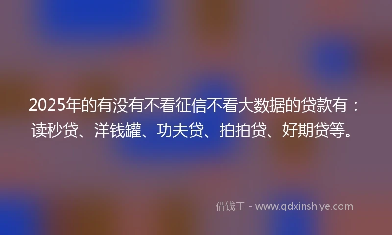 2025年的有没有不看征信不看大数据的贷款有：读秒贷、洋钱罐、功夫贷、拍拍贷、好期贷等。