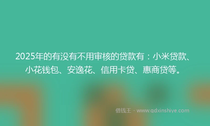 2025年的有没有不用审核的贷款有：小米贷款、小花钱包、安逸花、信用卡贷、惠商贷等。
