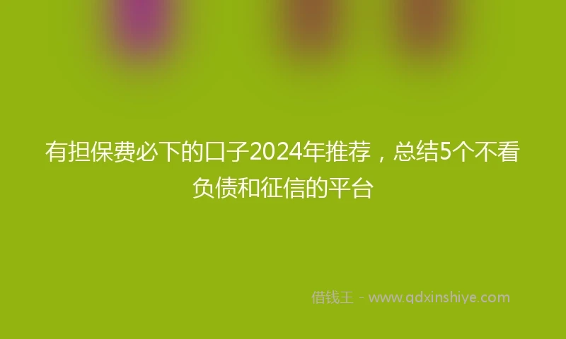 有担保费必下的口子2024年推荐，总结5个不看负债和征信的平台