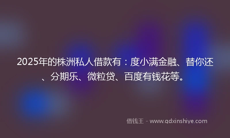 2025年的株洲私人借款有：度小满金融、替你还、分期乐、微粒贷、百度有钱花等。