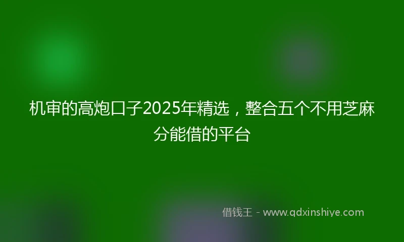 机审的高炮口子2025年精选，整合五个不用芝麻分能借的平台