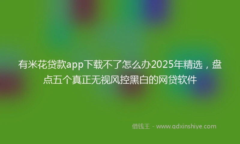 有米花贷款app下载不了怎么办2025年精选，盘点五个真正无视风控黑白的网贷软件