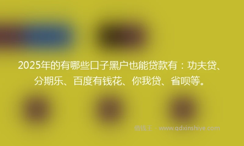 2025年的有哪些口子黑户也能贷款有：功夫贷、分期乐、百度有钱花、你我贷、省呗等。
