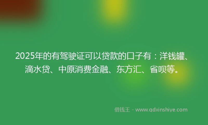 2025年的有驾驶证可以贷款的口子有：洋钱罐、滴水贷、中原消费金融、东方汇、省呗等。