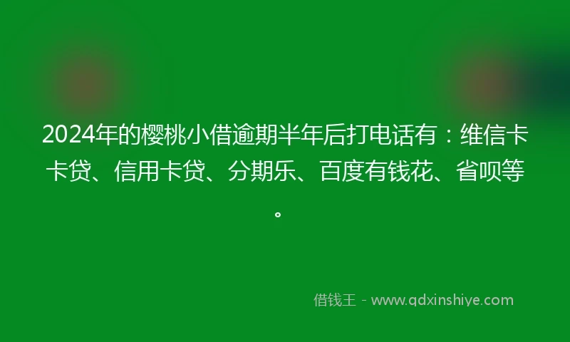 2024年的樱桃小借逾期半年后打电话有：维信卡卡贷、信用卡贷、分期乐、百度有钱花、省呗等。