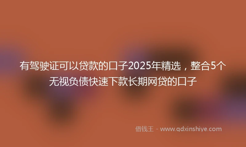 有驾驶证可以贷款的口子2025年精选，整合5个无视负债快速下款长期网贷的口子