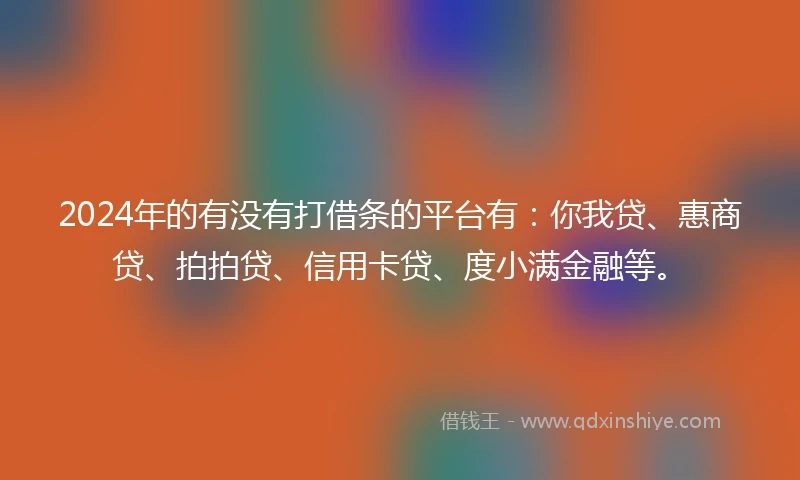 2024年的有没有打借条的平台有：你我贷、惠商贷、拍拍贷、信用卡贷、度小满金融等。