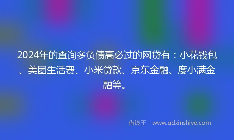 2024年的查询多负债高必过的网贷有：小花钱包、美团生活费、小米贷款、京东金融、度小满金融等。