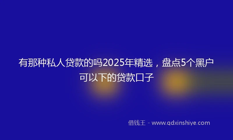 有那种私人贷款的吗2025年精选，盘点5个黑户可以下的贷款口子
