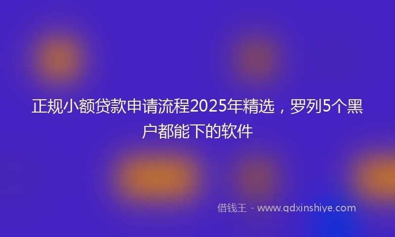 正规小额贷款申请流程2025年精选，罗列5个黑户都能下的软件