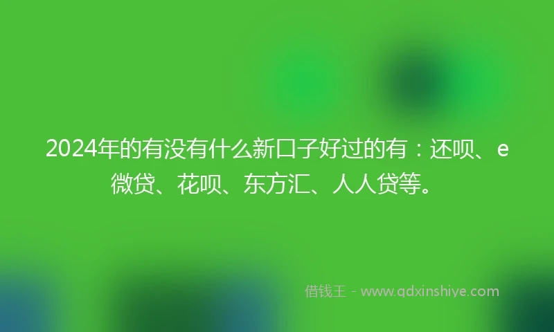 2024年的有没有什么新口子好过的有：还呗、e微贷、花呗、东方汇、人人贷等。