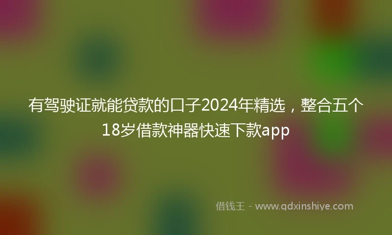 有驾驶证就能贷款的口子2024年精选，整合五个18岁借款神器快速下款app