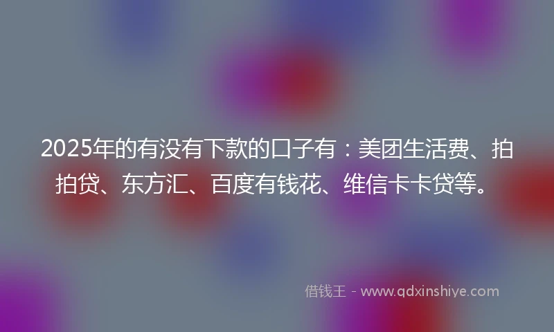 2025年的有没有下款的口子有：美团生活费、拍拍贷、东方汇、百度有钱花、维信卡卡贷等。