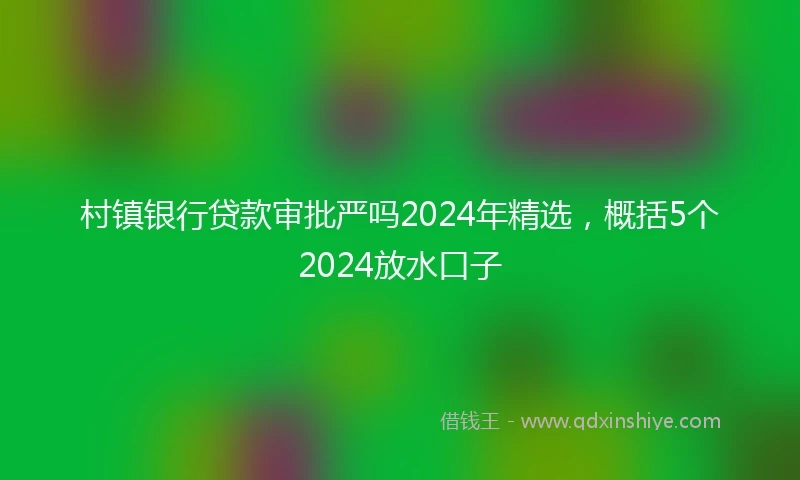 村镇银行贷款审批严吗2024年精选，概括5个2024放水口子