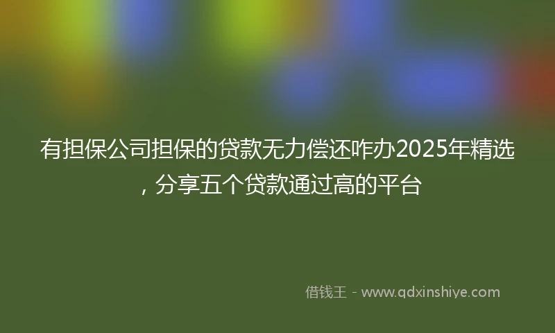 有担保公司担保的贷款无力偿还咋办2025年精选，分享五个贷款通过高的平台