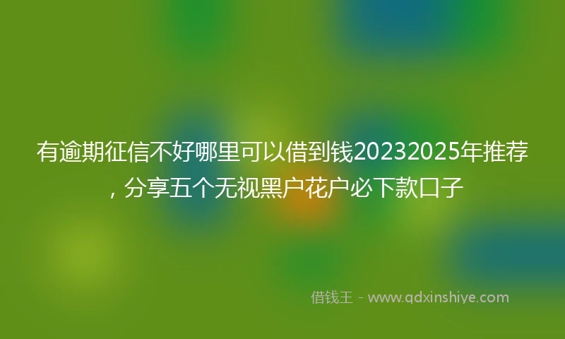 有逾期征信不好哪里可以借到钱20232025年推荐，分享五个无视黑户花户必下款口子