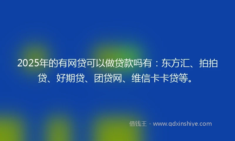 2025年的有网贷可以做贷款吗有：东方汇、拍拍贷、好期贷、团贷网、维信卡卡贷等。