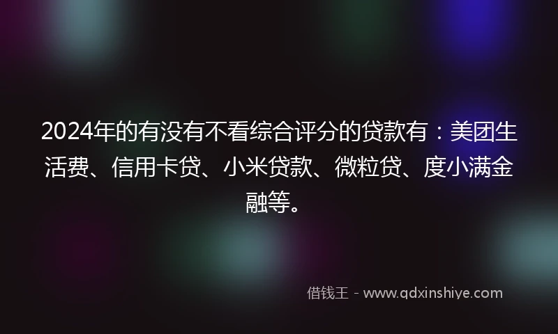 2024年的有没有不看综合评分的贷款有：美团生活费、信用卡贷、小米贷款、微粒贷、度小满金融等。