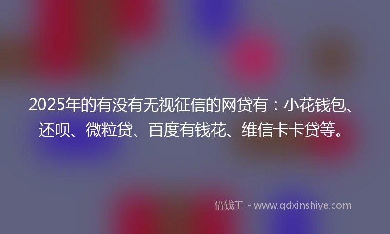 2025年的有没有无视征信的网贷有：小花钱包、还呗、微粒贷、百度有钱花、维信卡卡贷等。