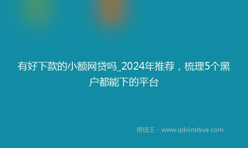 有好下款的小额网贷吗_2024年推荐，梳理5个黑户都能下的平台