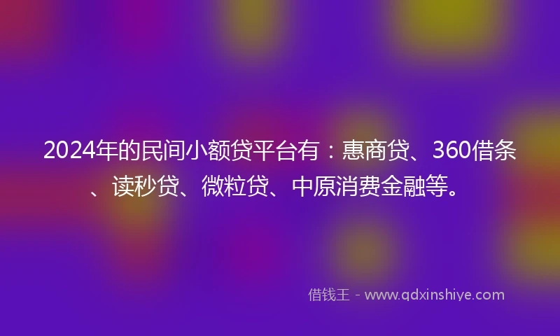2024年的民间小额贷平台有：惠商贷、360借条、读秒贷、微粒贷、中原消费金融等。