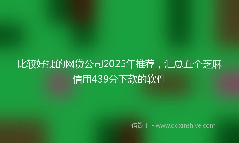 比较好批的网贷公司2025年推荐，汇总五个芝麻信用439分下款的软件