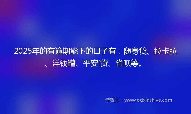2025年的有逾期能下的口子有：随身贷、拉卡拉、洋钱罐、平安i贷、省呗等。
