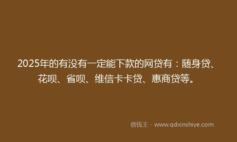 2025年的有没有一定能下款的网贷有：随身贷、花呗、省呗、维信卡卡贷、惠商贷等。