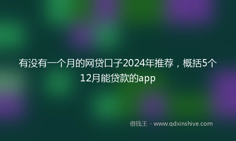 有没有一个月的网贷口子2024年推荐，概括5个12月能贷款的app