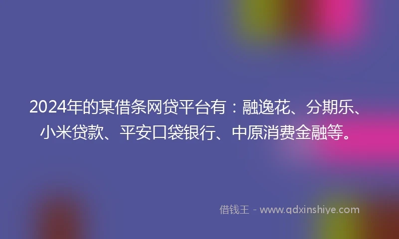 2024年的某借条网贷平台有：融逸花、分期乐、小米贷款、平安口袋银行、中原消费金融等。