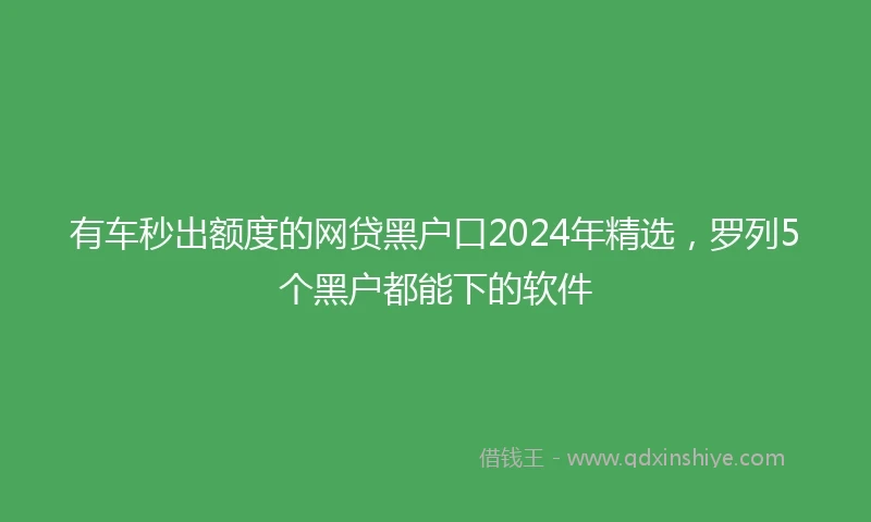 有车秒出额度的网贷黑户口2024年精选，罗列5个黑户都能下的软件