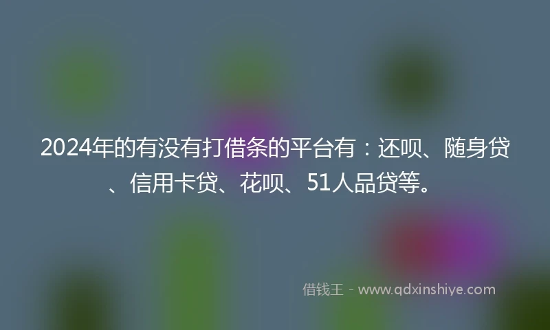 2024年的有没有打借条的平台有：还呗、随身贷、信用卡贷、花呗、51人品贷等。