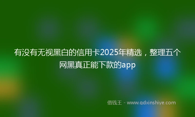 有没有无视黑白的信用卡2025年精选，整理五个网黑真正能下款的app